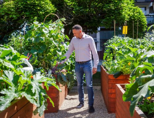 Újpesti Közösségi Tankert